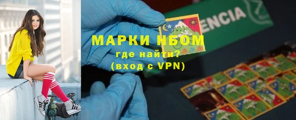 прущие грибы Алексеевка